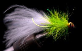 Chain-Eye-Cats-Whisker