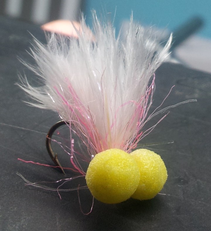 Powder Straggle Booby