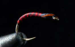 Holo-Red-Quill-Buzzer