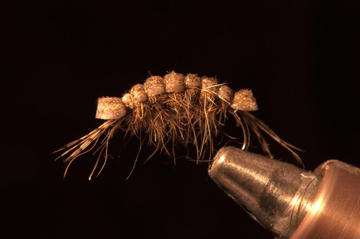 Killer Shrimp-fly of the week