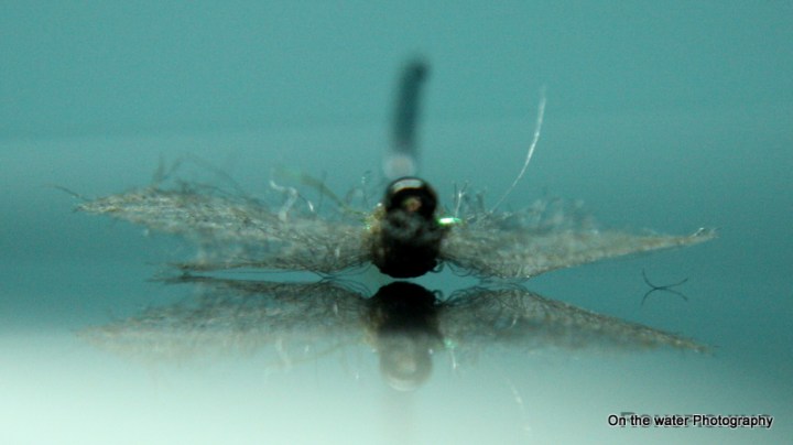 ronsfishing/flies7