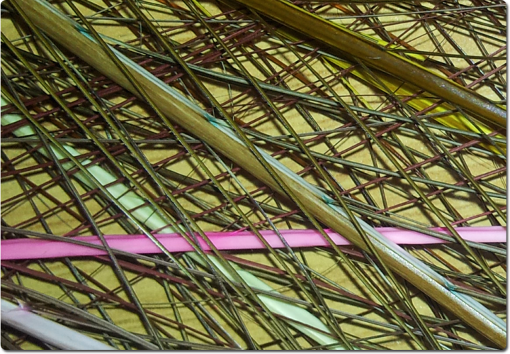 Stripped Quill Ronsfishing Stripped Quill Ronsfishing