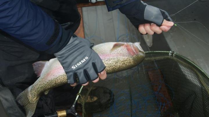 Kieron Jenkins unhooking a Fish Blagdon