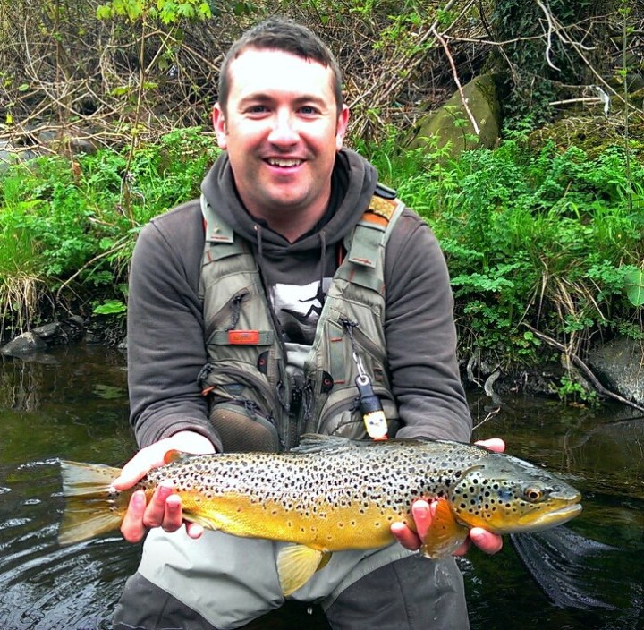 Lewy Large Taff Trout