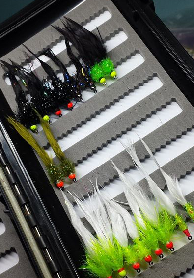 Kieron Jenkins Ronsfishing Lure Box