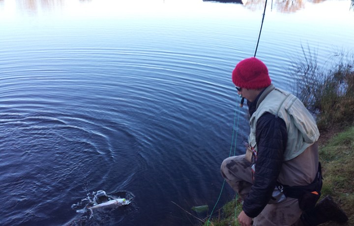 Kieron Jenkins Ronsfishing stocky