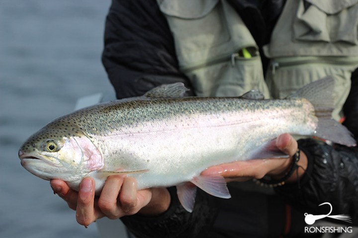 Kieron Jenkins Blagdon Rainbow