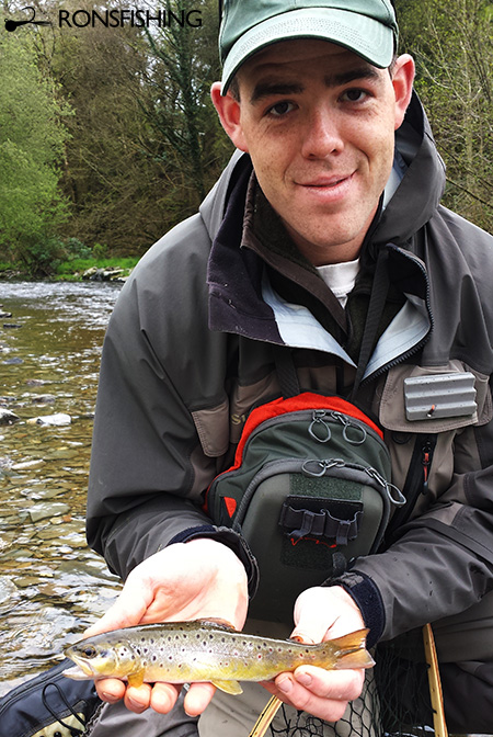 Gavin Perry River Cothi Brown Trout