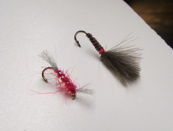 cwm-hedd-dries-ronsfishing
