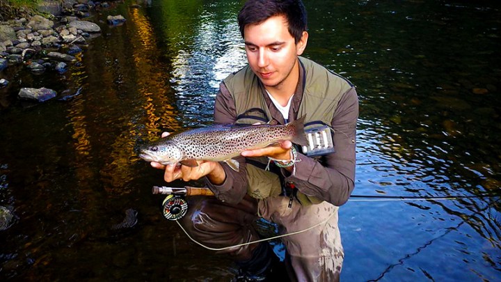 Ronsfishing Spinner Fall