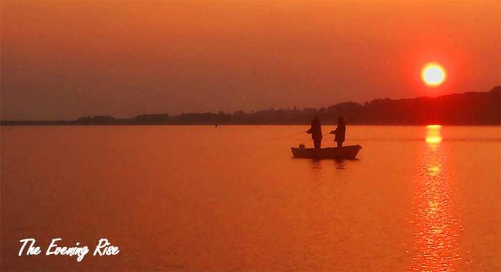 Evening Rise on Draycote Water