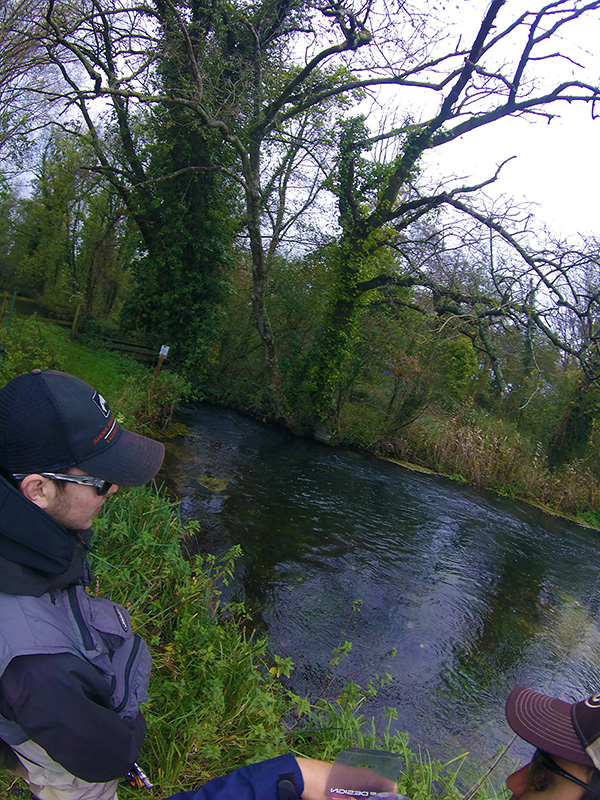 River Test Grayling Fishing