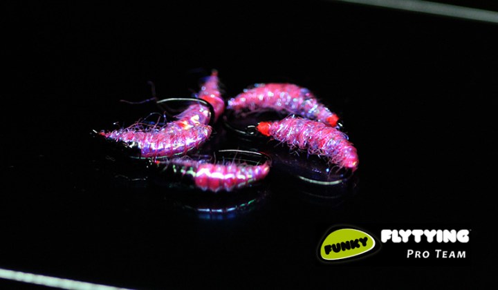 Alex Jardine Pink Grayling Bug