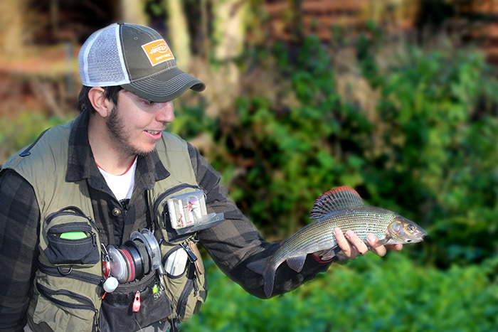 Chalkstream Grayling Fishing