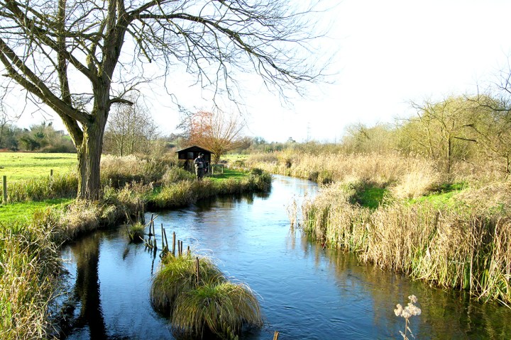 River Anton Famous Fishing
